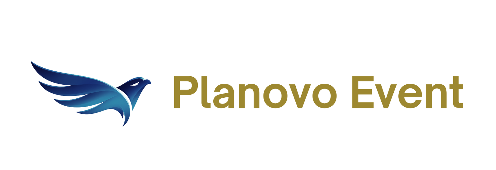 planovo event (2)
